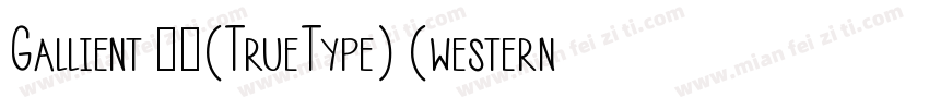 Gallient 常规(TrueType) (western)Micr字体转换
